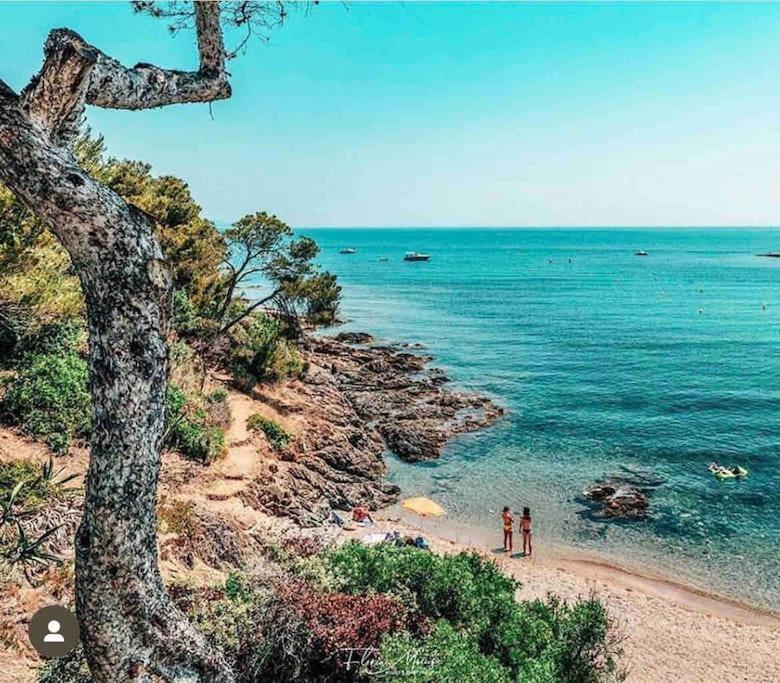 Villa Alisa Avec Piscine Privee Roquebrune-sur Argens Zewnętrze zdjęcie