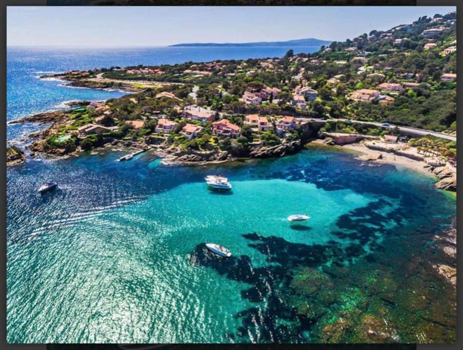 Villa Alisa Avec Piscine Privee Roquebrune-sur Argens Zewnętrze zdjęcie